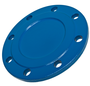 Blind Flange